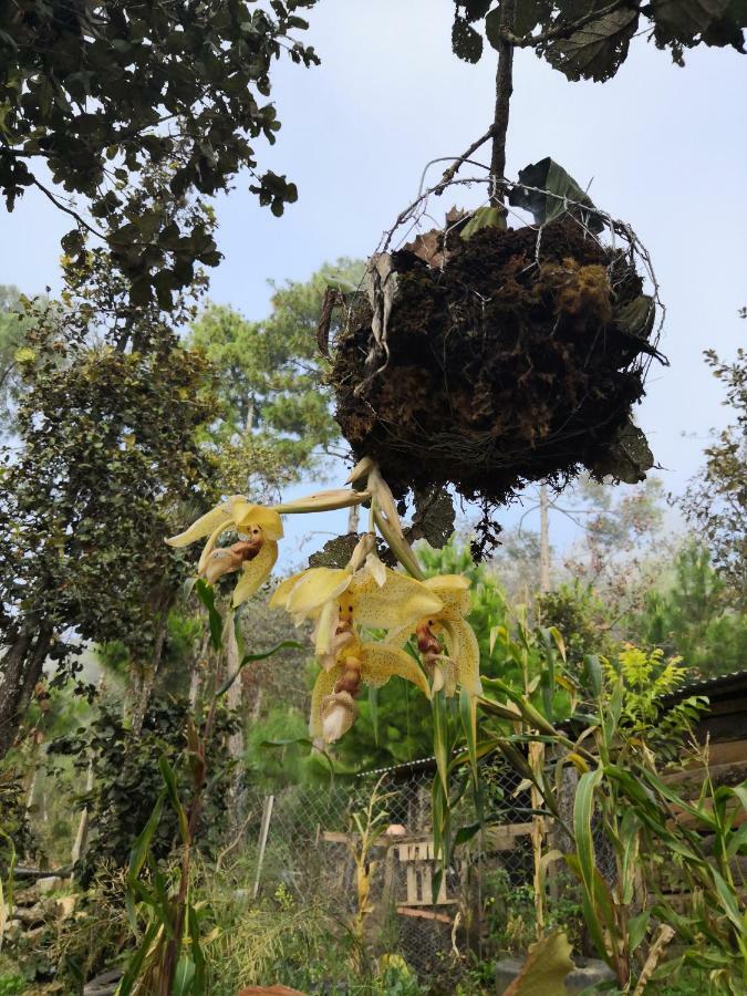 Renta De Cabanas, Centro Ecoturistico Rural Sustentable Labor San Jose San Cristóbal de Las Casas Dış mekan fotoğraf