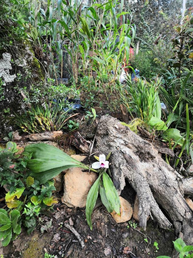 Renta De Cabanas, Centro Ecoturistico Rural Sustentable Labor San Jose San Cristóbal de Las Casas Dış mekan fotoğraf