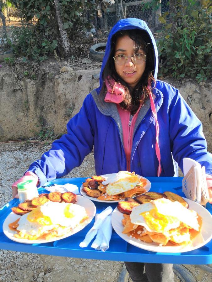 Renta De Cabanas, Centro Ecoturistico Rural Sustentable Labor San Jose San Cristóbal de Las Casas Dış mekan fotoğraf