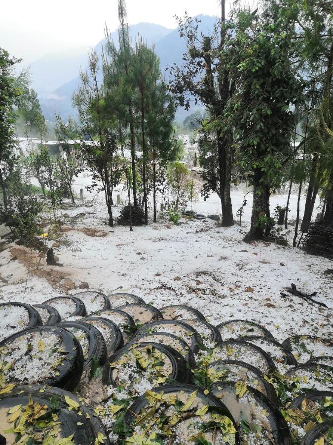 Renta De Cabanas, Centro Ecoturistico Rural Sustentable Labor San Jose San Cristóbal de Las Casas Dış mekan fotoğraf