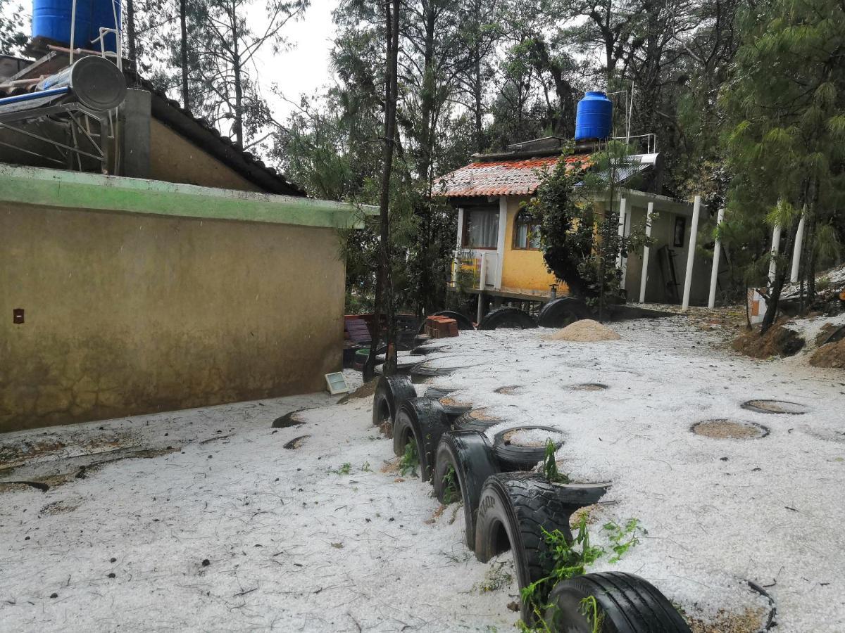 Renta De Cabanas, Centro Ecoturistico Rural Sustentable Labor San Jose San Cristóbal de Las Casas Dış mekan fotoğraf